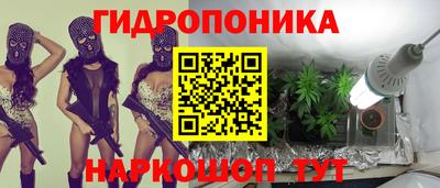 сатива Гусиноозёрск