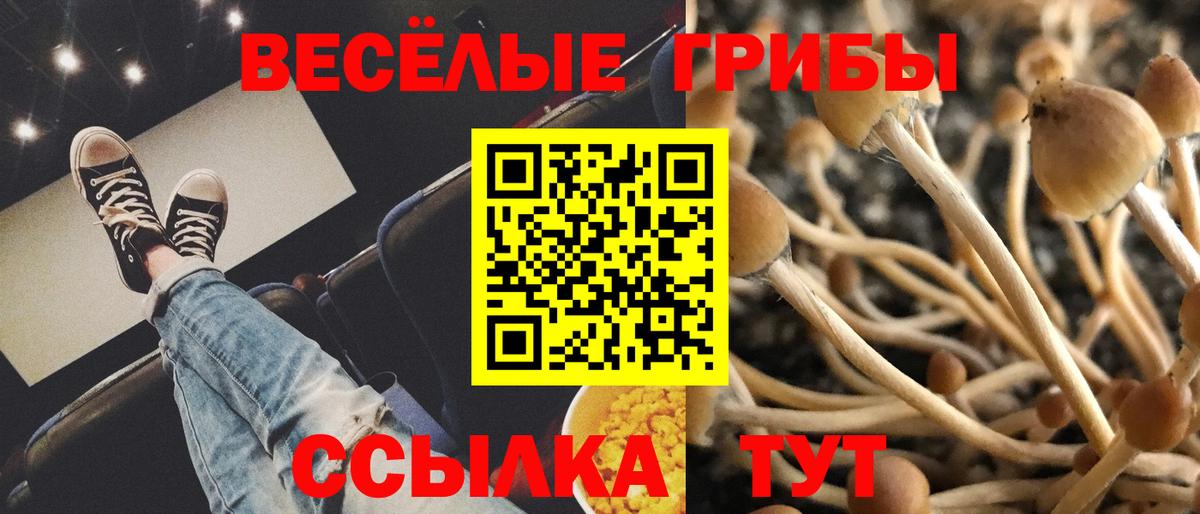 Галлюциногенные грибы прущие грибы  Вход с VPN  Кисловодск 