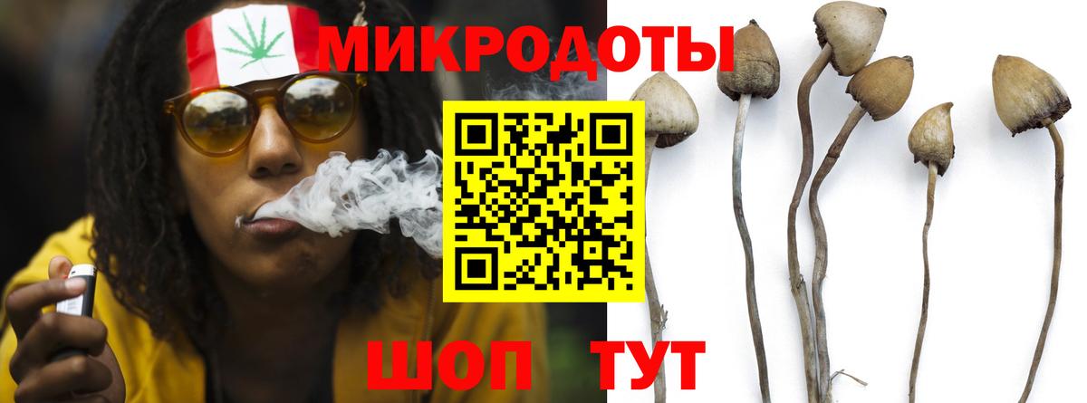 Бошки Шишки  Кисловодск  ГАШ  МЕФ   Метадон  ГАШ  Вход с VPN 