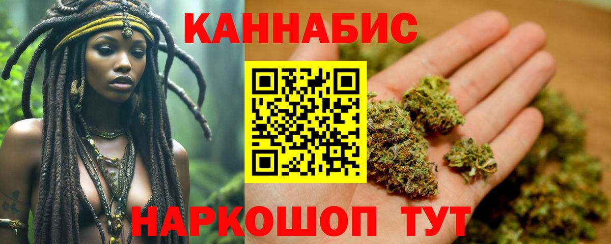Каннабис сатива Кисловодск